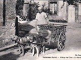 Attelage de chiens - 1930